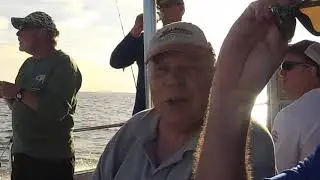 Catching Reef Fish in Jupiter FL!