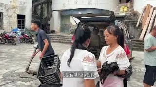 小莫进山收购山葡萄，大姐一天摘了200多斤，挣了400多块