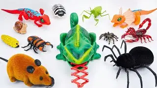 [🐍Toy Asmr🐍] Zuru Robo Alive: Chameleon - Snake - Praying Mantis Toys | Satisfying Unboxing ASMR