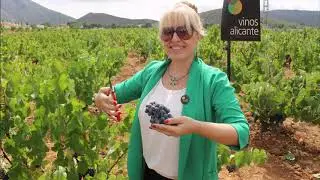 Monastrell 