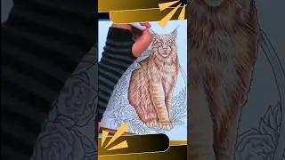 Color Cat Fur like a PRO&nbsp;#artist #howtodraw #arttips #arttutorial #drawing #art #lynx #catlover&nbsp;