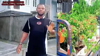 Flowers and Carpet Grass Planting