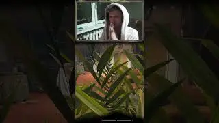 Кустарный стелс | #ninashugaga #Twitch #tv #Arena #rofl #solo #redtv #red