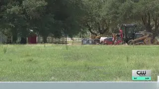 &lsquo;Let&rsquo;s continue to grow this small town&rsquo;: Locals excited for new Elon Musk school