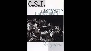 CSI - In quiete - And the radio plays
