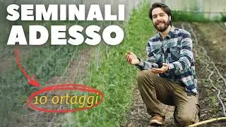 10 Ortaggi Facili da Seminare e Raccogliere in Primavera