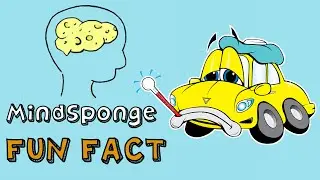 MindSponge Fun Fact - Gas Inefficiency