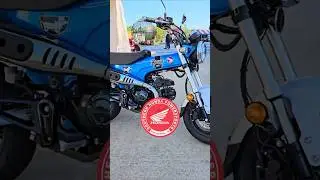 First Look: New 2025 Honda Dax 125 | Southern Honda Powersports #honda #motorcycle #dax #vintage