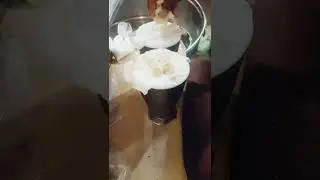 Jeda lassi || Karachi Lassi #Lessi