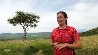 Grindrod Bank Berg and Bush 2022 Promo