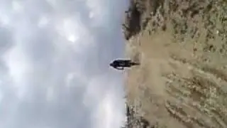 MOV00503
