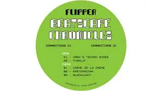 Flipper - Pretepacina [CONNECTIONS01]