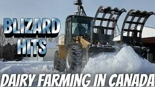 Blizzard Aftermath!