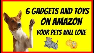 6 gadgets and toys your pets love on Amazon