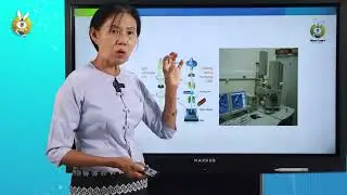 Grade 11 Biology Introduction to biology part 3