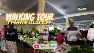 Triolet Market walking tour | Triolet, Mauritius