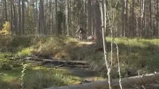 Bicycle Trailer Extrawheel Brave