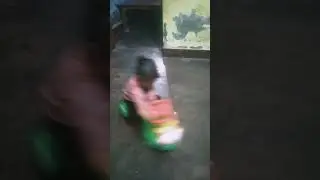 desi desi dong
