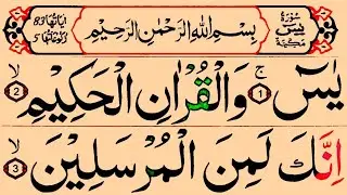 Surah Yaseen | Beautiful & Soothing Quran Recitation | Ep.520 @piam121 #quran#yaseen#recitation