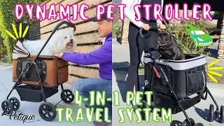 Ultimate 4-in-1 Pet Travel System for Dogs, Cats, and Small Animals | Petique's Dynamic Pet Stroller