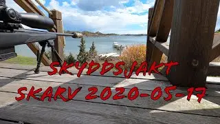 Skyddsjakt skarv 188m 2020-05-17
