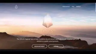 How To Trade Cryptocurrency: EOS , Ethereum Killer