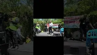 Tımok festivali 2025