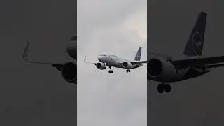 Excellent Top Plane Landing at Europe's Best Airport Frankfurt Germany 🇩🇪 #viral #fun #airport #4k