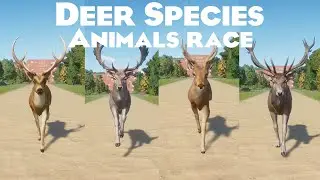 Deer Species Animals Speed Race in Planet Zoo included European Fallow Deer, Reed Deer, Chital & etc
