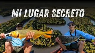 PESCA DE DORADOS Y TARARIRA CON KAYAK | Volví a mi lugar Secreto