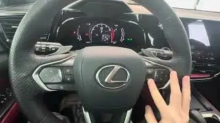 2025 NX350 for sandeep