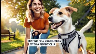 🐕 PetSafe Easy Walk No-Pull Dog Harness | Best No Pull Dog Harness Front Clip 🐕