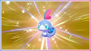 [LIVE] Shiny Sobble after 398 Eggs! | Pokemon Shield Shiny Reaction