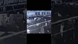 ворвался в местный коровник с гранатой,чтобы разобраться с супругой #news #newshortsvideo2023