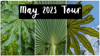 Southview House Exotic Uk May 2023