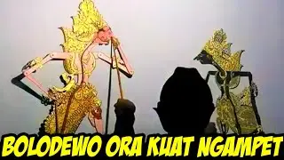 Nek ora Ono mergo bogong panjenengan nesu terus..!! Bolodewo ora kuat nahan ndelok polahe bagong