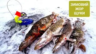 ✅️ ЗИМОВИЙ ЖОР ЩУКИ на ЖЕРЛИЦІ❗️Є ТРОФЕЇ❗️😀💥 А кажуть ГЛУХОЗИМ'Є🤷‍♂️ РИБАЛКА в ДІЧАЙШИХ МІСТЯКАХ