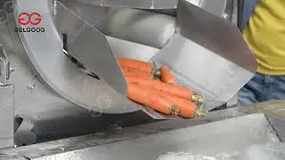 Carrot Puree Processing Line