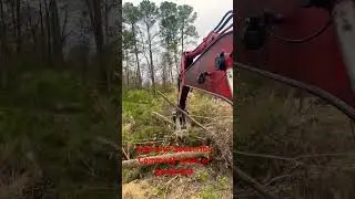 How to SNAPPP Trees like Twigs ASMR FIRST PERSON POV