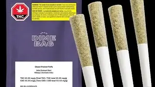 DIME BAG: DIESEL POCKET PUFFS PRE-ROLL REVIEW