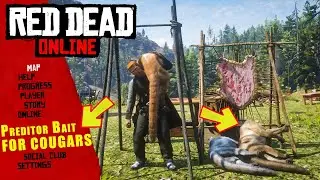 HOW TO USE PREDATOR BAIT AND SPAWN COUGARS IN RED DEAD ONLINE