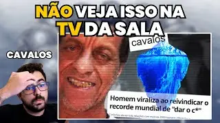 MML Equus caballus - O Iceberg do Carlinhos