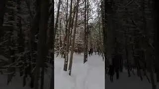 winter Hike #ontario #winter #canada