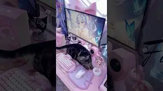 Unboxing Yunzii C68 Cat keyboard! The cutest keyboard ever! #keyboard #desksetup #yunzii