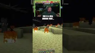 THIS Is a real dragon fight! #clips #shorts #reels #minecraft
