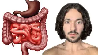 How to Heal Your Gut (Permanently Fix IBS, IBD, Crohns, Colitis, Leaky Gut, Ulcers)