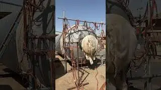 Post Weld Heat Treatment