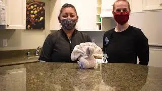 Rivertide Suites Holiday How-To's : How to make a Towel Art Turkey