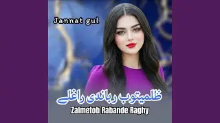 Zalmetob Rabande Raghy