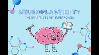 NEUROPLASTICITY -transform a person's thought patterns, personality traits, and behaviours.
